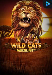 Bocoran RTP Slot Wild Cat Multiline di GOBAN HOKI