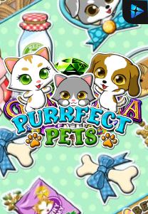 Bocoran RTP Slot PURRFECT PETS di GOBAN HOKI