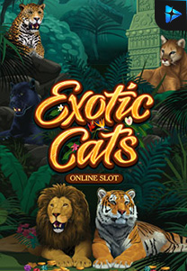 Bocoran RTP Slot exoticcats di GOBAN HOKI