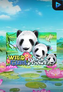 Bocoran RTP Slot Wild Giant Panda di GOBAN HOKI